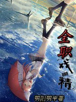 全职杀手